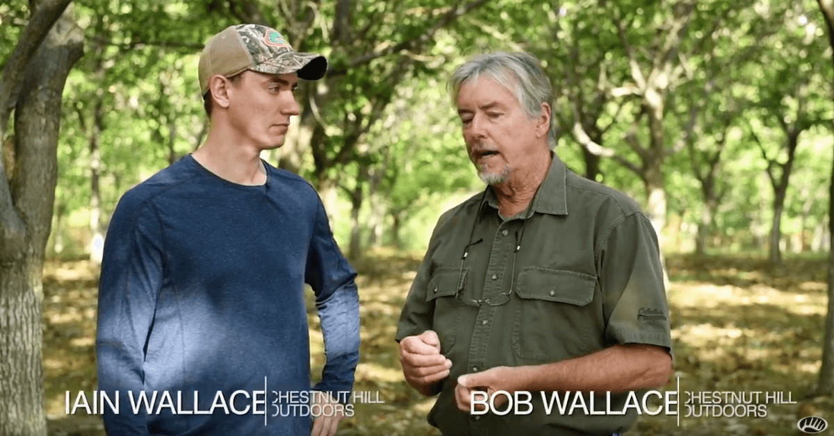 Featured Image for Why You Should Plant Fruit Trees as Food Plots